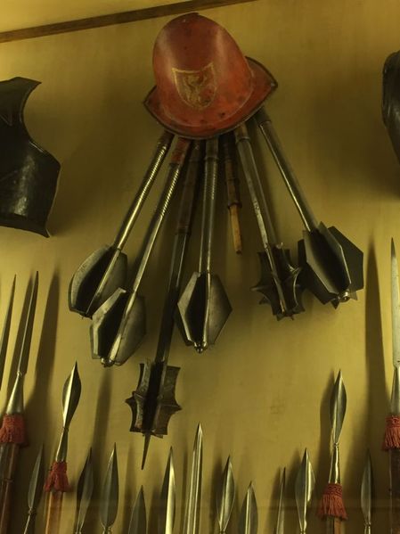 Clicca per vedere l'immagine alla massima grandezza